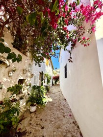 #spain #whitewash villag