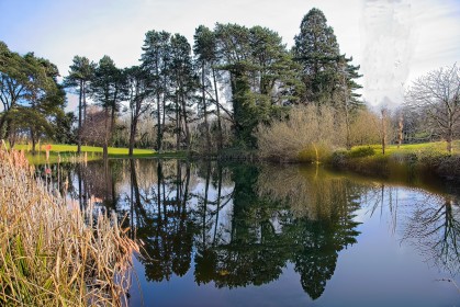 Cabinteely Park Reflections