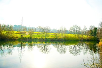 Cabinteely Park Reflections-1