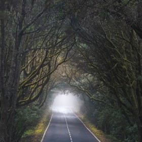 Into the mist...
