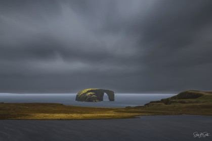 A storm approaches the drinking horse