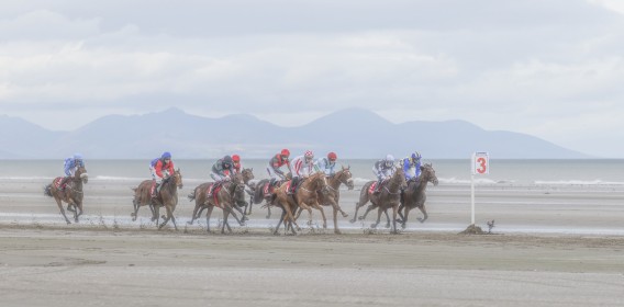 Laytown Races