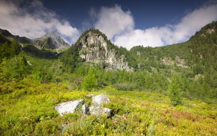 Tour du Mont Blanc Terrain