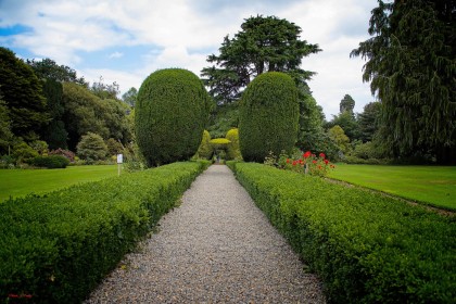 A Walk in the Garden by Pat Divilly