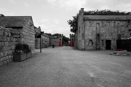 A bit of colour by Eithne O'Leary