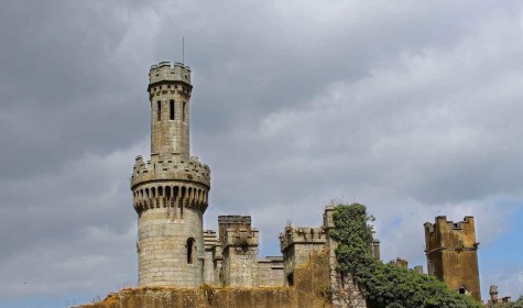 Duckett's Grove by Pat Divilly