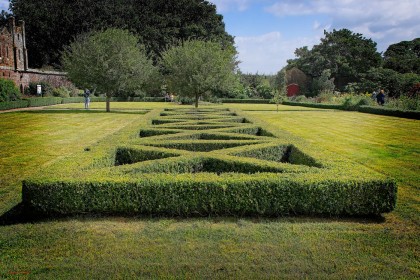 Maze by Pat Divilly