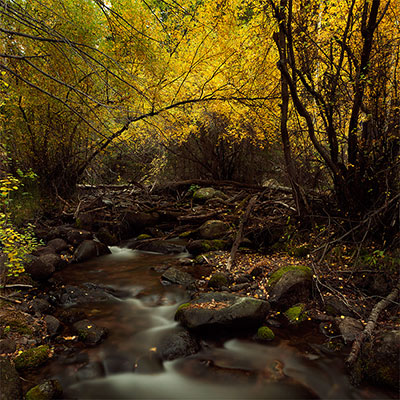 Competition – Long Exposure