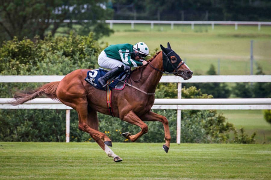 WWM May 2014 – Let’s Go Racing