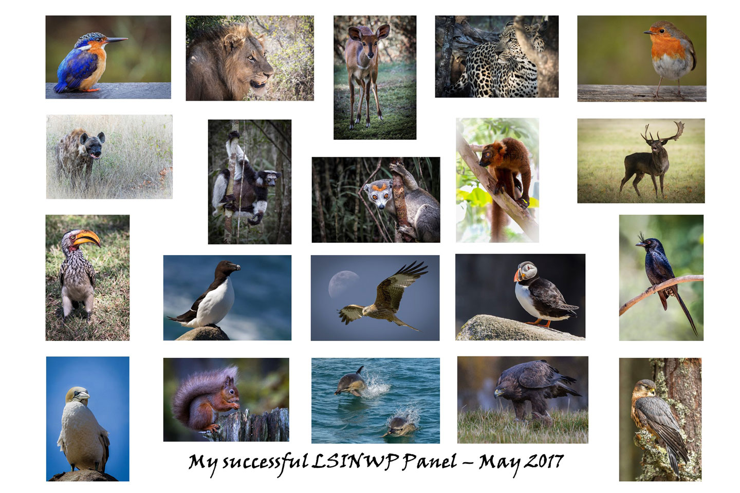 LSINWP Panel – Mike Smith