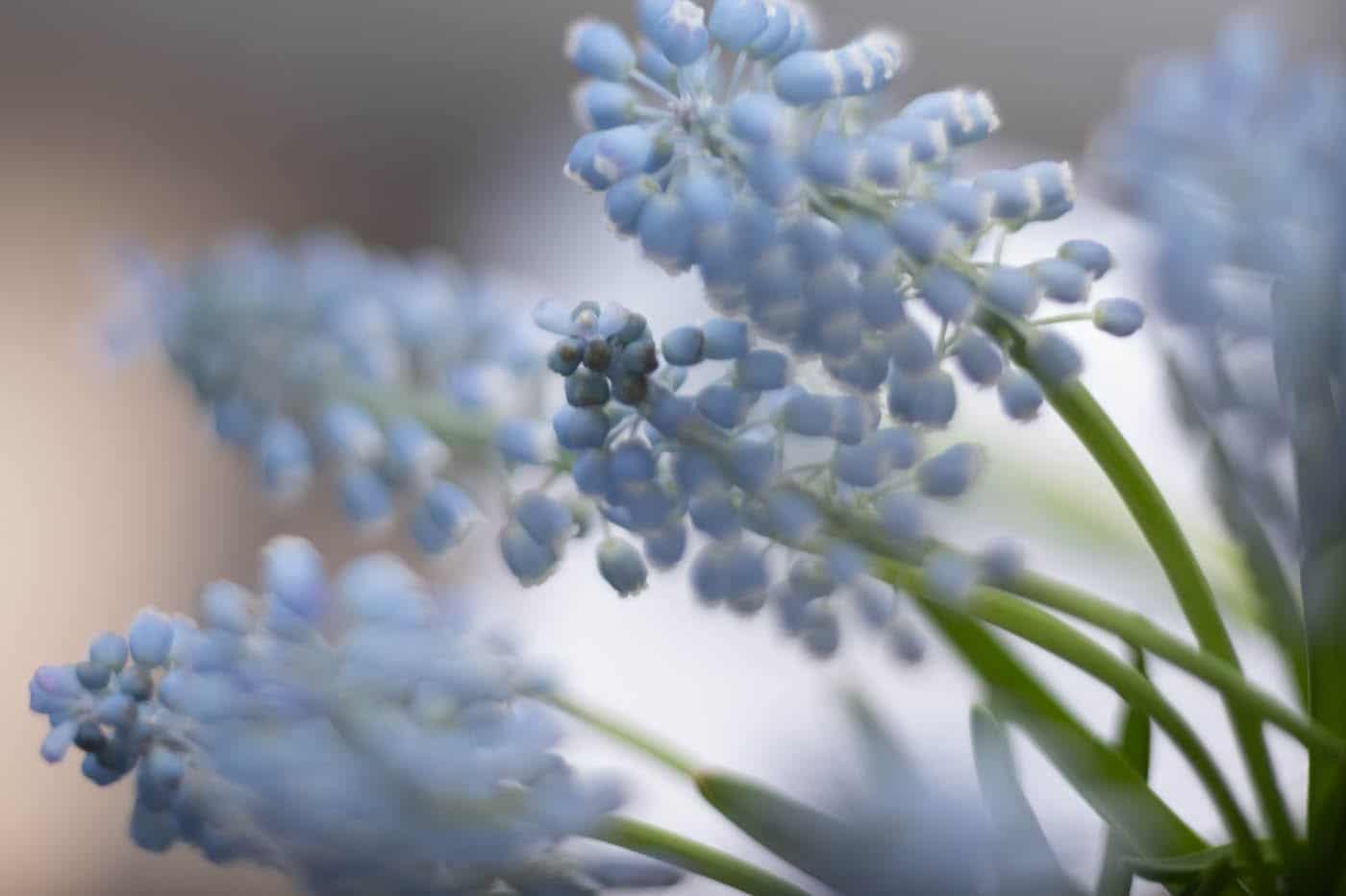by Helen Black