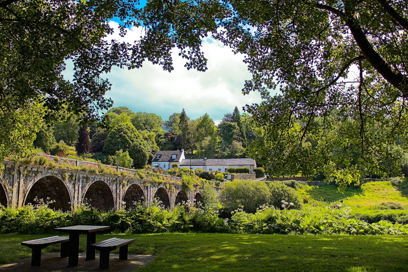 Inistioge Bridge Framed by Pat Divilly