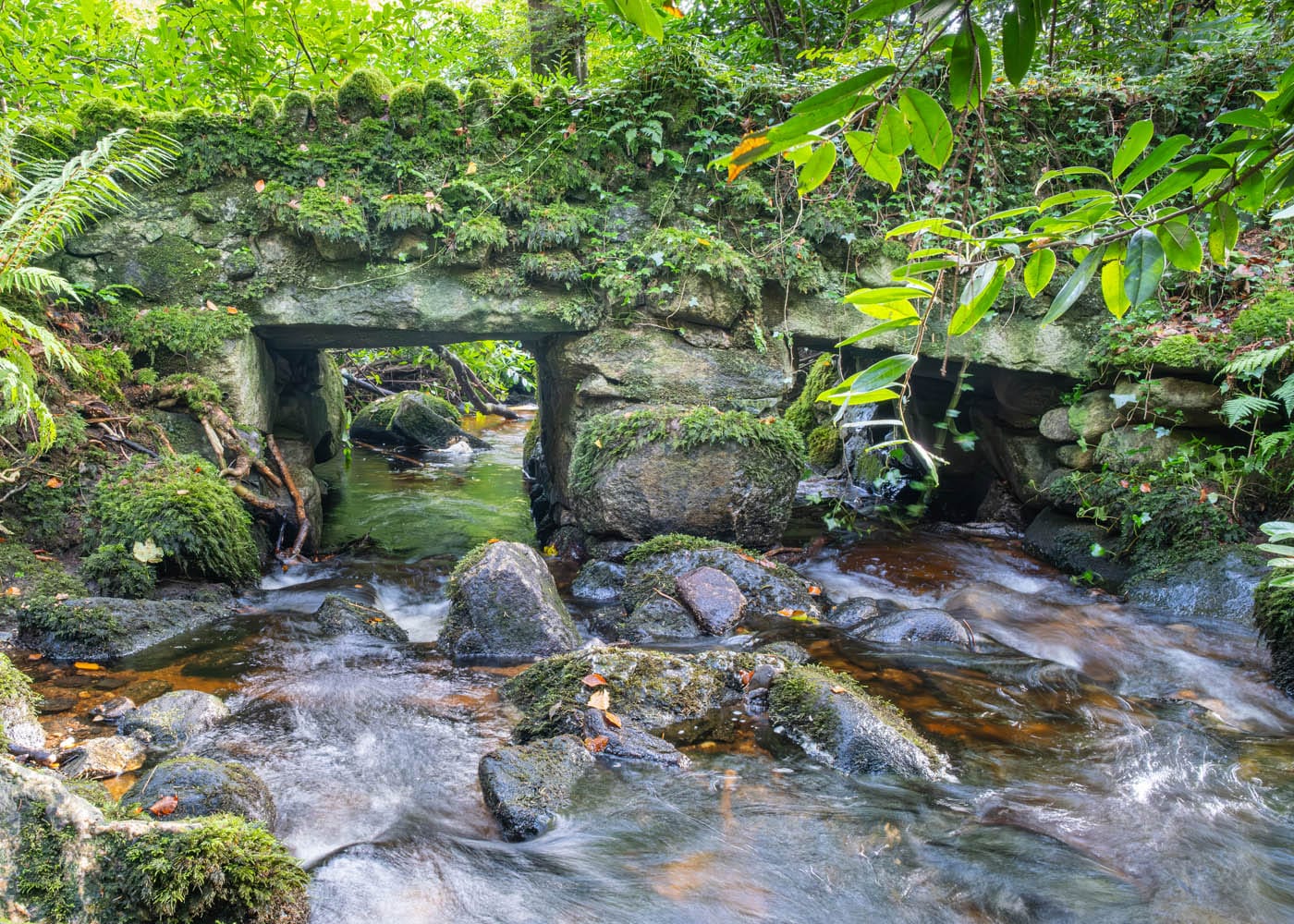 Club Outing – Massey’s Wood