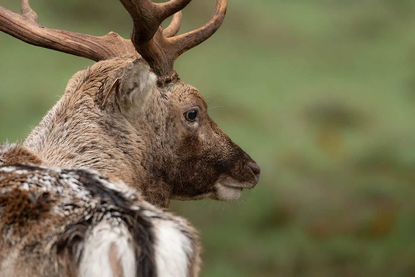 Over the Shoulder by Wojtek Dworzynski