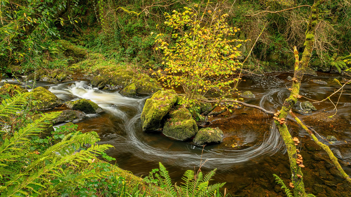Club Outing – Autumn in Devil’s Glen