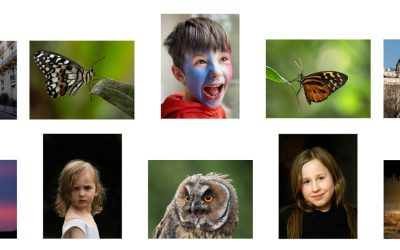 Jerome Fennell – LIPF