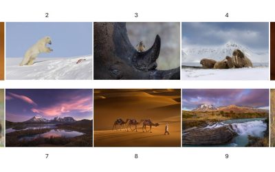 Stephen Smith – LIPF