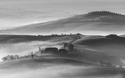 Club Competition – Black and White (Projected)