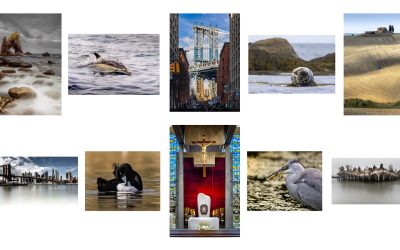 Paul O’Callaghan – LIPF