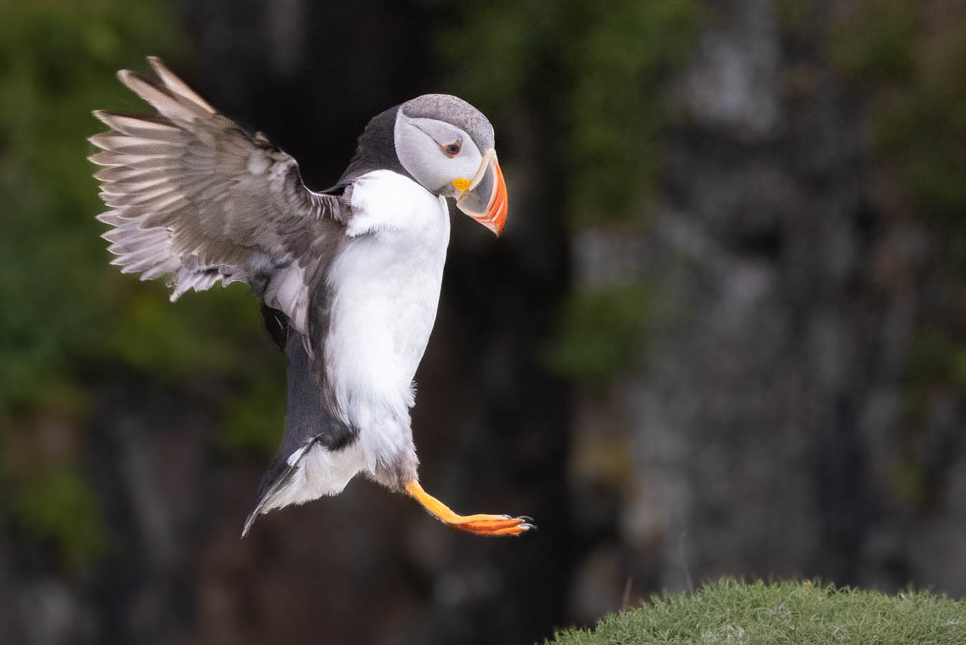 Touch Down by Gerry Moloney