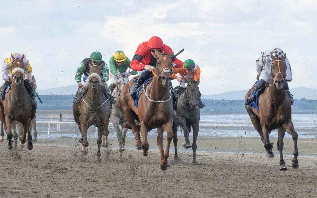 Club Outing – Laytown Races